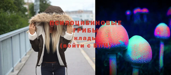 mdpv Арсеньев