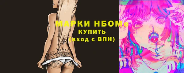 прущие грибы Аркадак