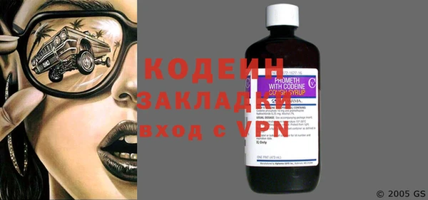 прущие грибы Аркадак