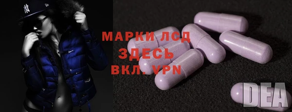 прущие грибы Аркадак