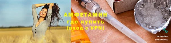 прущие грибы Аркадак