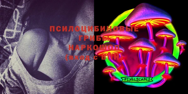 прущие грибы Аркадак