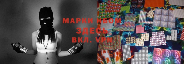 прущие грибы Аркадак