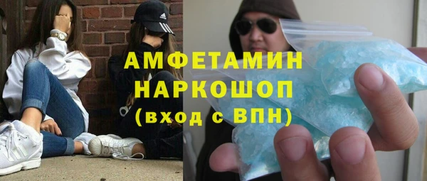прущие грибы Аркадак